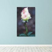 Enveloppe de toile rose (Insitu (Plancher de Bois))