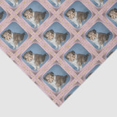 Enveloppe mignonne de papier de soie de soie de (Détail)