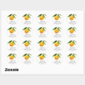 Enveloppe Phoques Citrus Citrus Favoriser Stickers (Feuille)