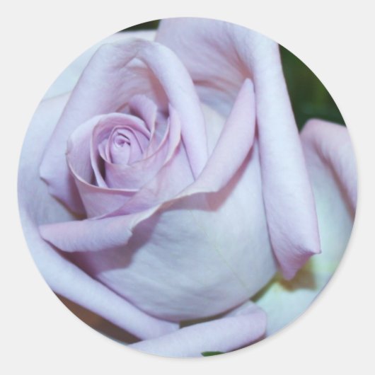 Enveloppe Rose Lavendar - Phoques et autocollants (Devant)