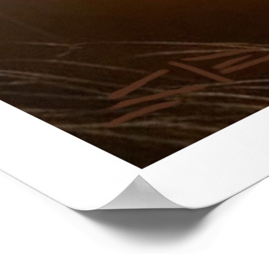 Environmental Impact value matte poster (Coin)