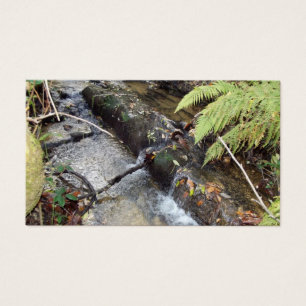 Environnement Naturel Carte Visite