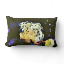 Envisionist: een hemelse reis