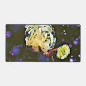 Envisionniste : Un voyage céleste (Recto)