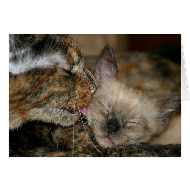 Envoi d'amour... (Devant horizontal)