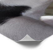 Enzo's nap poster (Hoek)