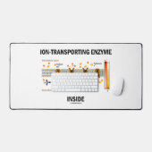 Enzyme transportant de l'Ion dans le transport act (Clavier et souris)