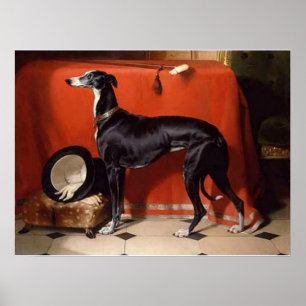 Eos, een favoriete Greyhound van prins Albert Poster
