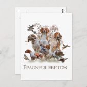 Epagneul Breton, Brittany Spaniel Briefkaart (Voorkant / Achterkant)
