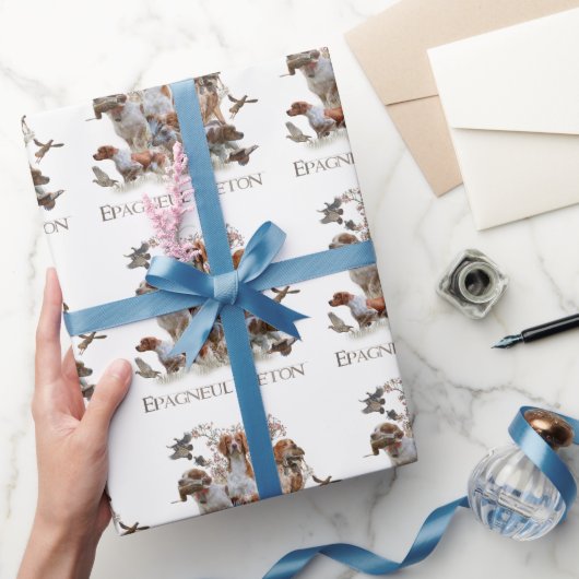Epagneul Breton, Brittany Spaniel Cadeaupapier (Geschenken)