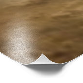 Epagneul Breton, Brittany Spaniel Foto Afdruk (Hoek)