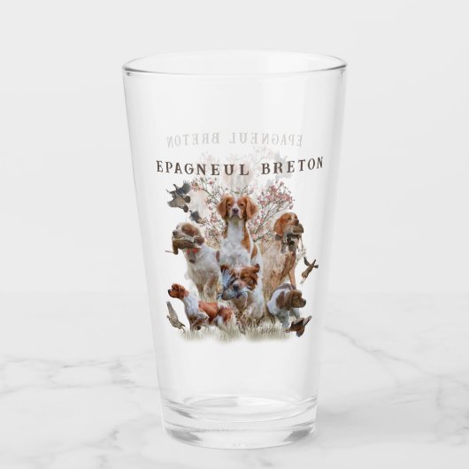 Epagneul Breton, Brittany Spaniel Glas (Voorkant)