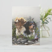 Epagneul Breton, Brittany Spaniel Kaart (Staand voorkant)