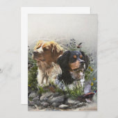 Epagneul Breton, Brittany Spaniel Kaart (Voorkant / Achterkant)