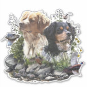 Epagneul Breton, Brittany Spaniel Sticker (Voorkant)