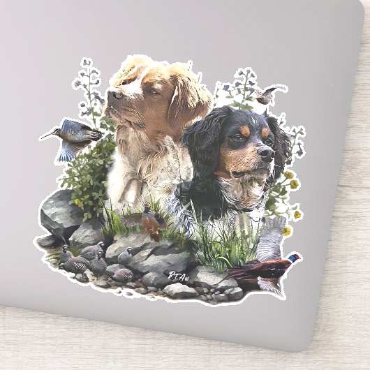 Epagneul Breton, Brittany Spaniel Sticker (Detail)