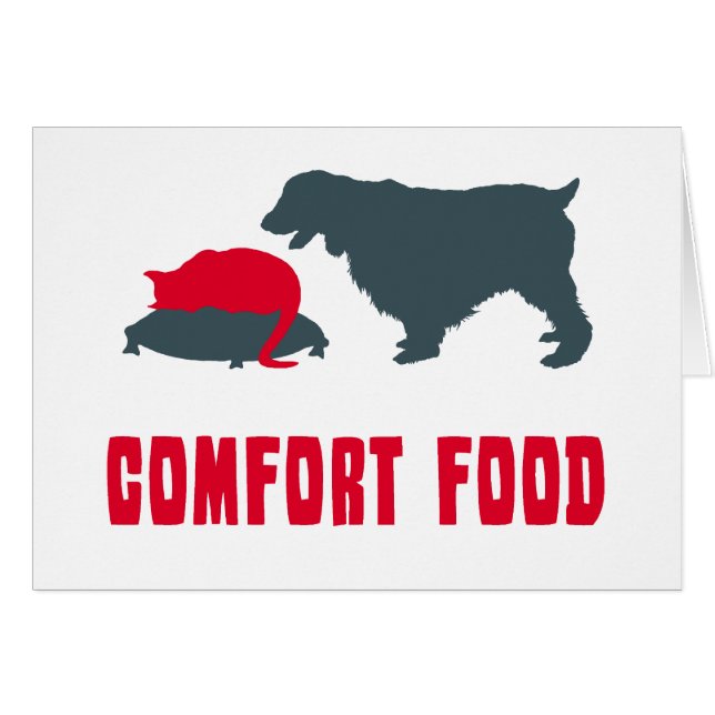 Épagneul de springer anglais (Devant horizontal)