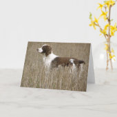 Épagneul de springer anglais - carte de voeux (Fleur jaune)