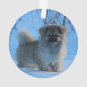 Épagneul tibétain dans la neige (dos)