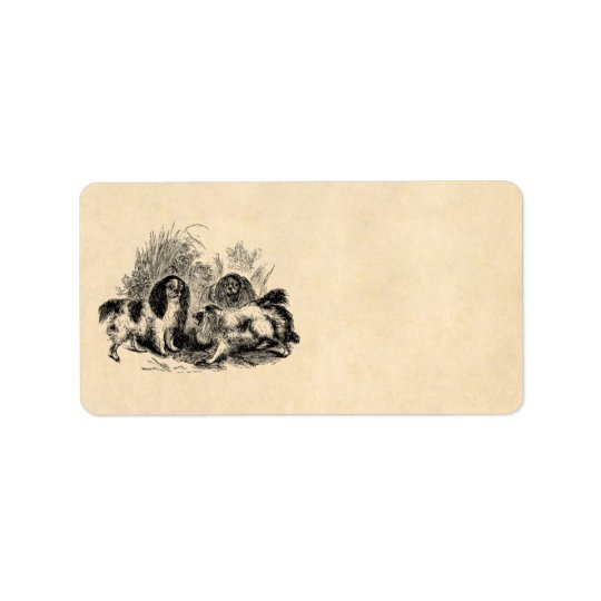 Épagneuls vintages de 1800s de chien d'épagneul du étiquette d'adresse