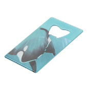 Épaulard (Devant Angle)