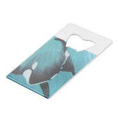 Épaulard (Dos Angle)