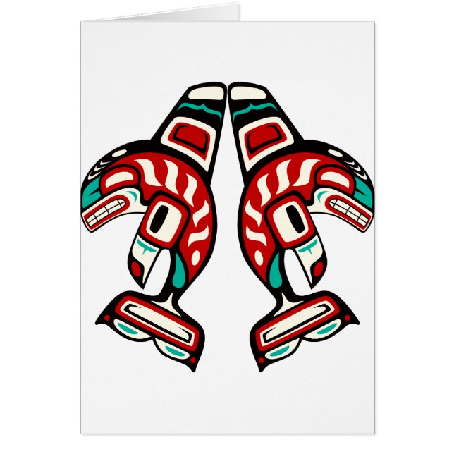 Épaulard indien de Haida (Devant)