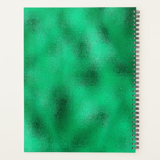 Épée verte (Dos)