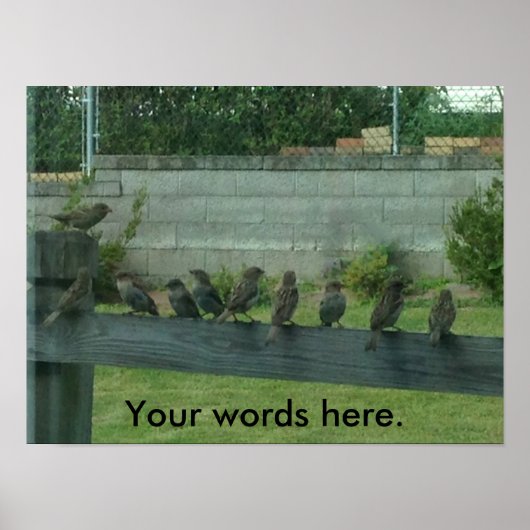Éperons Oiseaux sur un rail Vos mots Affiches (Devant)