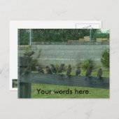 Éperons Oiseaux sur un rail Vos mots Cartes postal (Devant / Derrière)