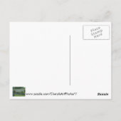 Éperons Oiseaux sur un rail Vos mots Cartes postal (Dos)