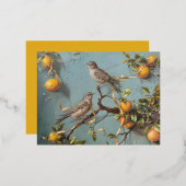 Éperviers - Cartes postales (Recto/Verso)