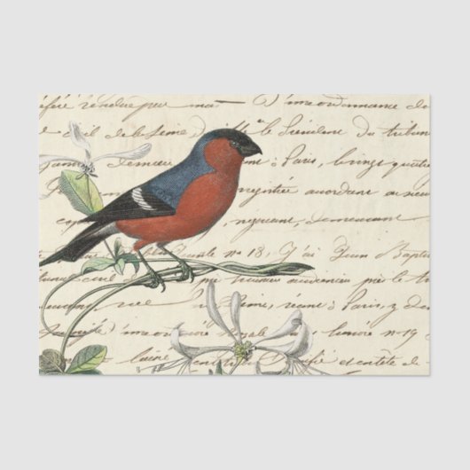 Ephemera Bird and Script Tissuepapier (Voorkant)