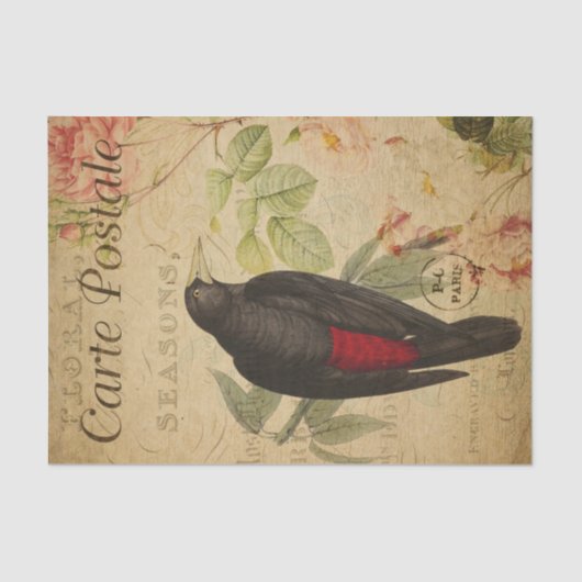Ephemera Black Red Bird roze Roses ontkoppeling Tissuepapier (Voorkant)
