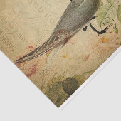 Ephemera Briefkaart Cute Bird Decoupage Tissuepapier (Detail)