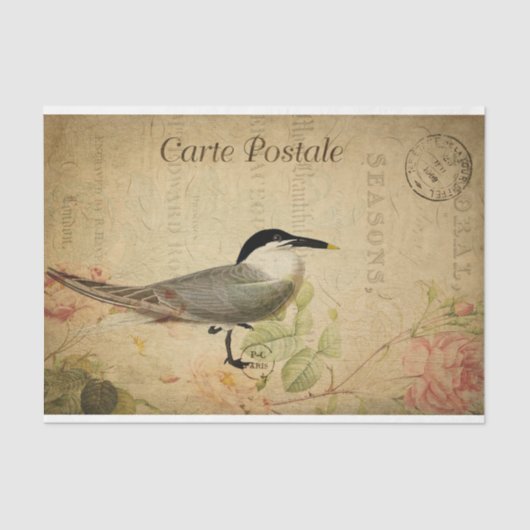 Ephemera Briefkaart Cute Bird Decoupage Tissuepapier (Voorkant)
