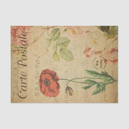 Ephemera Briefkaart Red Poppy Tissuepapier (Voorkant)