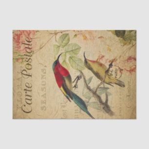 Ephemera Colorful Sunbird Painting Decoupage Tissuepapier