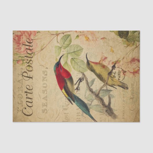 Ephemera Colorful Sunbird Painting Decoupage Tissuepapier (Voorkant)