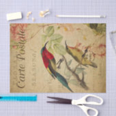 Ephemera Colorful Sunbird Painting Decoupage Tissuepapier (Craft)