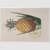 Ephemera Decoupage Ananas Tissuepapier (Voorkant)