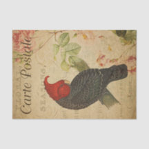 Ephemera Frans Briefkaart Ganga Cockato Decoupage