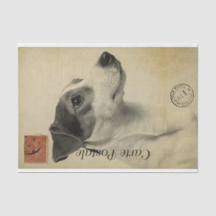 Ephemera Frans Briefkaart Jack Russel Terrier Dog Tissuepapier
