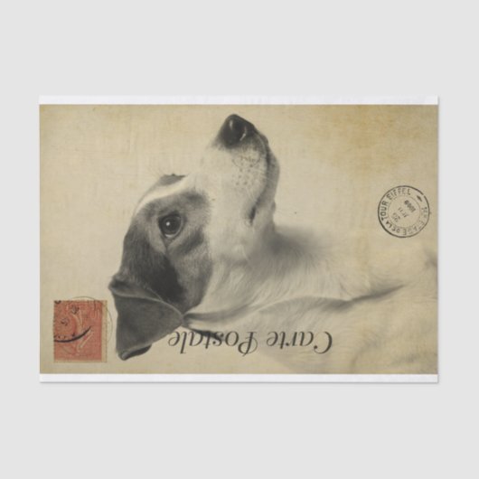Ephemera Frans Briefkaart Jack Russel Terrier Dog Tissuepapier (Voorkant)