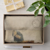 Ephemera Frans Briefkaart Terrier Dog Ontkoppeling Tissuepapier (Geschenk)