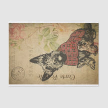 Ephemera Frans Briefkaart Terrier Dog Ontkoppeling