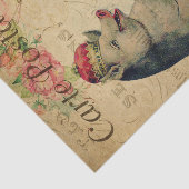 Ephemera Frans Briefkaart varken met kroonontkoppe Tissuepapier (Detail)