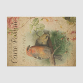 Ephemera Frans Briefkaart Vogelflesontvlechting Tissuepapier