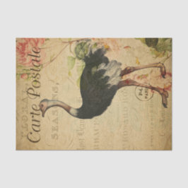 Ephemera Franse Briefkaart Ostrich Decoupage Tissuepapier