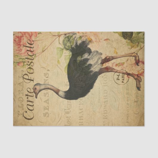 Ephemera Franse Briefkaart Ostrich Decoupage Tissuepapier (Voorkant)